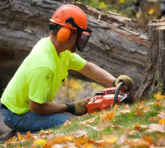 tree services Buckley